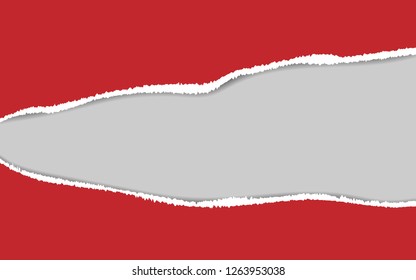 Ripped paper. Vector of ripped paper. the paper was ripped background.