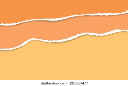 Ripped paper. Vector of ripped paper. The paper was ripped background.