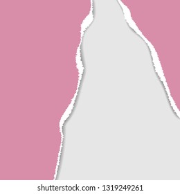 Ripped paper. Vector of ripped paper. The paper was ripped background.
