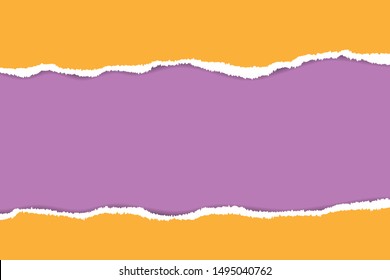 Ripped paper. Vector of ripped paper. The paper was ripped background.