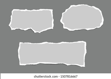 Ripped paper. Vector of ripped paper. The paper was ripped background.