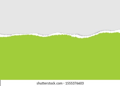 Ripped paper. Vector of ripped paper. The paper was ripped background.