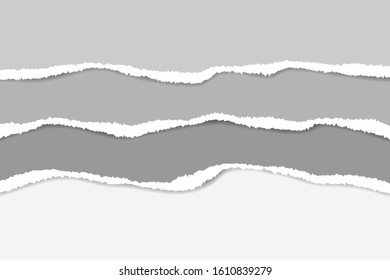 Ripped paper. Vector of ripped paper. The paper was ripped background.