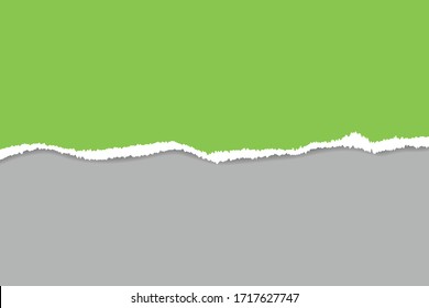 Ripped paper. Vector of ripped paper. The paper was ripped background.