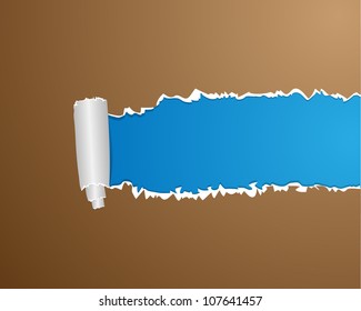 Ripped paper. Vector illustration.