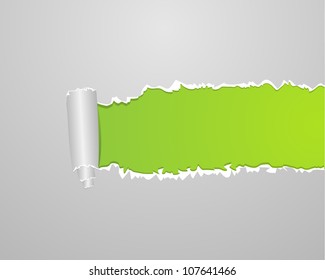 Ripped paper. Vector illustration.