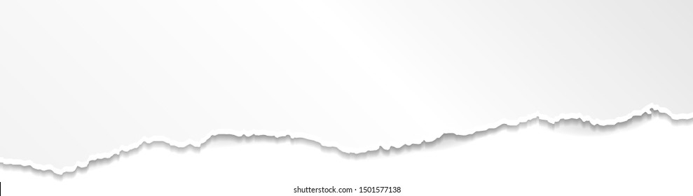 ripped paper vector on transparent background 