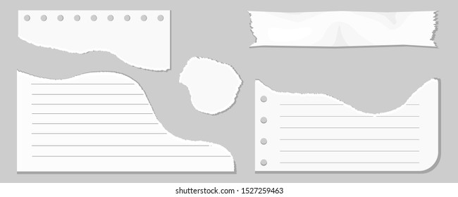 Ripped paper, wrinkled paper, torn sheets, notebook paper and sheet of recording paper. Page texture, textured sheet of notes or notepad. Vector illustration