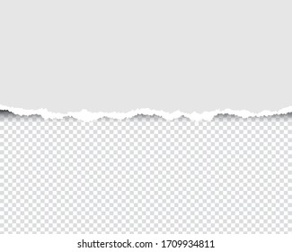 Ripped paperwith ripped edges and transparent space for you design. Paper texture with ripped edges and shadow. Horizontal banner templateVector illustration