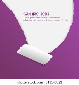 Ripped rolled paper for your creative design with space for your content/vector illustration