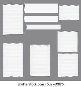 Ripped Ruled Note, Notebook, Copybook Vertical And Horizontal Paper Strips, Sheets Grey Background.