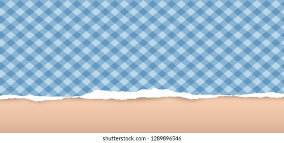 Ripped squared blue horizontal paper for text or message is on brown background. Vector illustration
