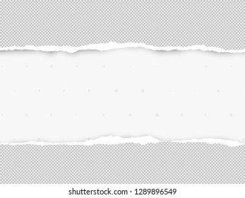 Ripped squared grey horizontal paper for text or message are on white background. Vector illustration