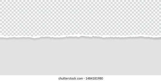 Ripped squared horizontal paper strips for text or message. Torn paper edge. Torn paper stripes. Vector illustration.