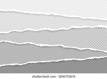 Ripped squared horizontal paper strips for text or message. Torn paper edge. Torn paper stripes. Vector illustration.