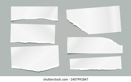 Ripped, torn note, notebook grainy paper strips stuck on grey background. Vector illustration