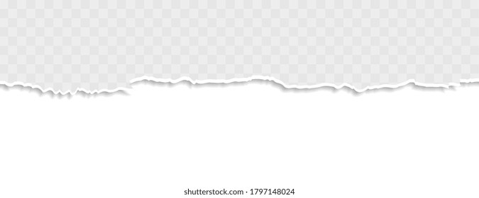 ripped torn paper banner in white color