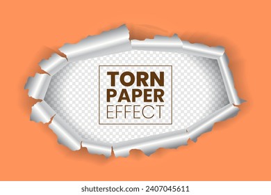 ripped torn paper hole on transparent background vector