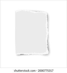 Ripped vector paper tear isolated on white background. Template paper design.