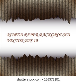 Ripped vintage paper background in format vector EPS 10