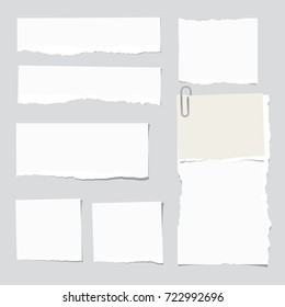 Ripped white note strips, notebook, copybook paper sheet stuck on gray background.