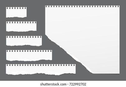 Ripped white note strips, notebook, copybook paper sheet stuck on gray background.