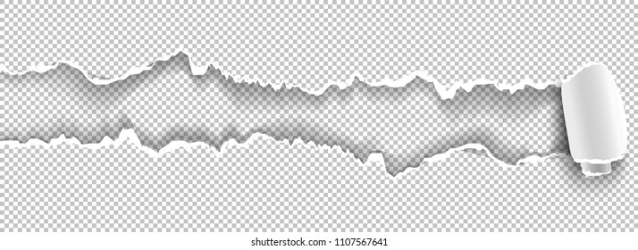 Ripped white paper on transparent background and space for your text.