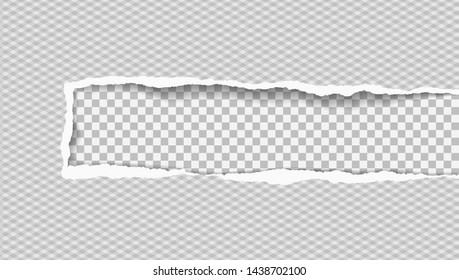 Ripped white squared paper with soft shadow is on squared background. Vector illustration