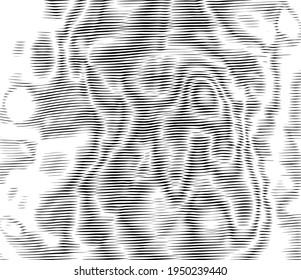 Efecto de onda, textura rayada ondulada. Efecto de interferencia moire. Ilusión óptica de fondo artístico.  Patrón de brillo monocromo del vector