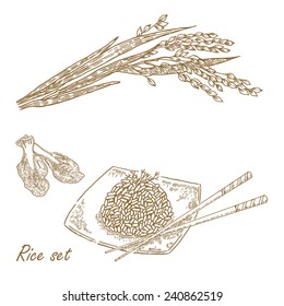 Rise set. Hand drawn vector illustration rice plant, rice porridge in sketch style