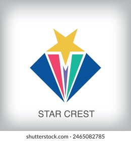 Rising star idea, modern logo. Unique color transitions. Competition, leadership and rank logo template. vector