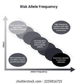 Risk Allele Frequency genome sciences vector illustration infographic