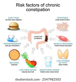 Risk factors of chronic constipation. Gastrointestinal peristalsis and Chronic constipation. Bowel movement irregularities. Gut motility disorders. Vector illustration