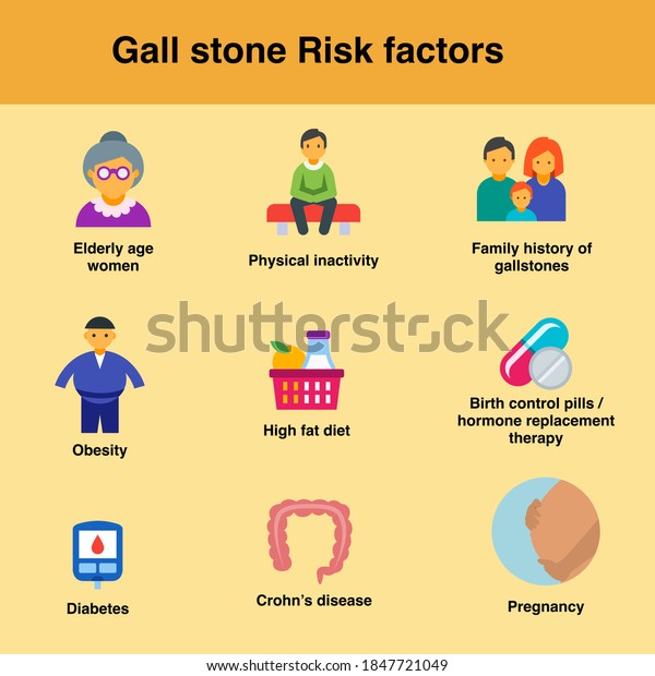 Risk Factors Gall Stones Elderly Aged Stock Vector (Royalty Free ...