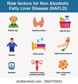 Risk Factors For Non Alcoholic Fatty Liver Disease NAFLD Elderly Age Hypothyroidism High Fat Diet Obesity Sleep Apnea Hypertension Diabetes PCOS Polycystic Ovary Syndrome High Blood Cholesterol Level