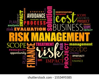 Risk Management word cloud collage, business concept background