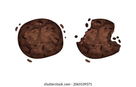 rispy chocolate biscuits with crumbs set vector illustration on white background