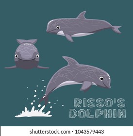 Risso's Dolphin Cartoon Vector Illustration