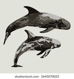 RISSO'S DOLPHIN (Grampus griseus). Marine mammal illustration collection (vector illustration)