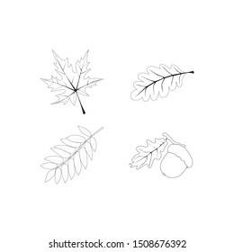 осенние листья, желудь, осень, лес, дуб, кленовый лист, risunok list'yev 
leaf pattern, vector chandelier isolated on white background. autumn leaves. fall. linear drawing. thin line. flapper icon