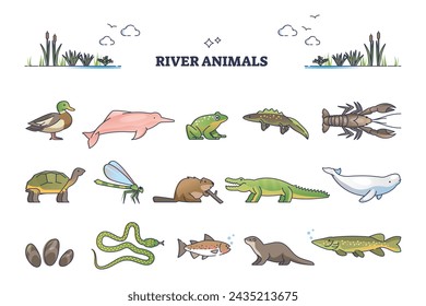 River animals or underwater species in wet environment outline collection set. Nature fauna biodiversity example with wildlife for ponds or water body life vector illustration. Reptile, duck and frog.