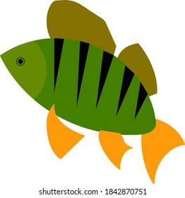 Bass auf weißem Hintergrund