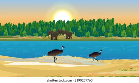 River beside the forest and animals are coming for drinking water.