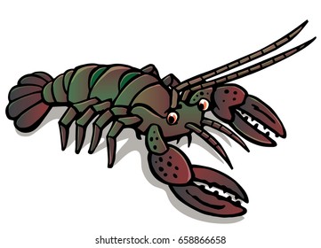river crayfish
