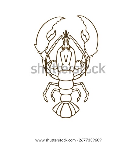 river Crayfish lobster line outline vector
