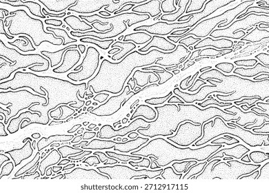 Delta del río o intrincada red de venas - Dibujo de puntillas en blanco y negro