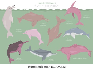 Amazon River Dolphin Images Stock Photos Vectors Shutterstock