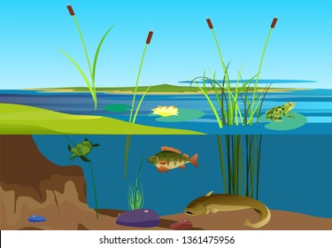 River ecosystem vector illustration