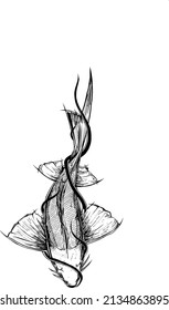 Obras de arte de peces fluviales para el diseño de camisetas, Emblema, impresión de papel, sitio web, etc.
