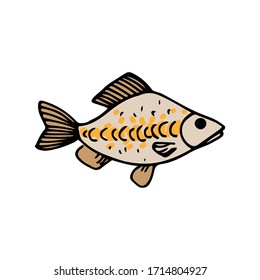 river fish, crucian, doodle, vector illustration
